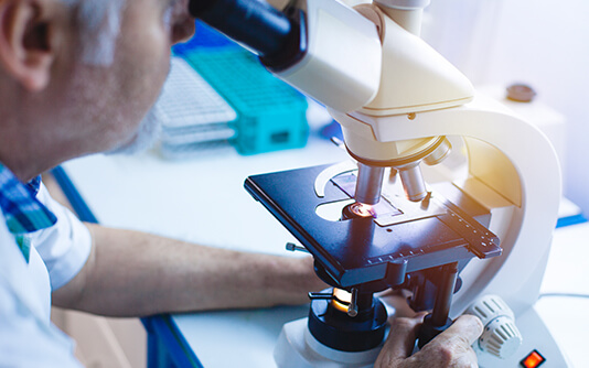 Go to Programmes et subventions