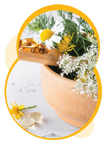 fleurs blanches et jaunes dans un pot