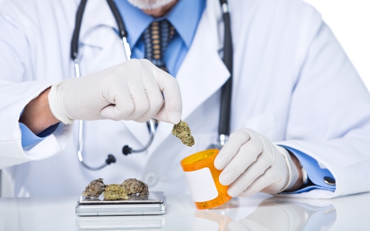 Exemple picture for Accéder à du cannabis médicinal